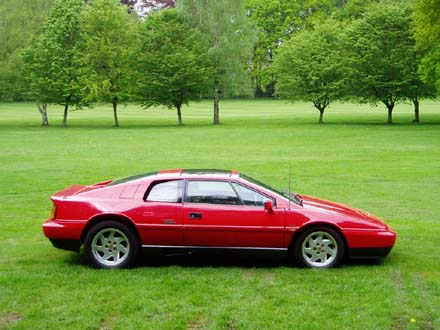 Lotus_Esprit_Turbo_6.jpg