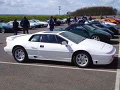 Lotus_Esprit_Turbo_SE_White