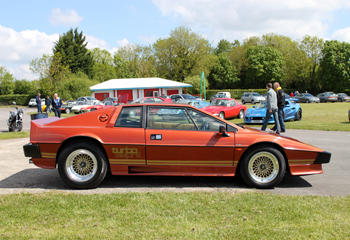 Lotus_Turbo_Esprit_Bronze_1980_Side