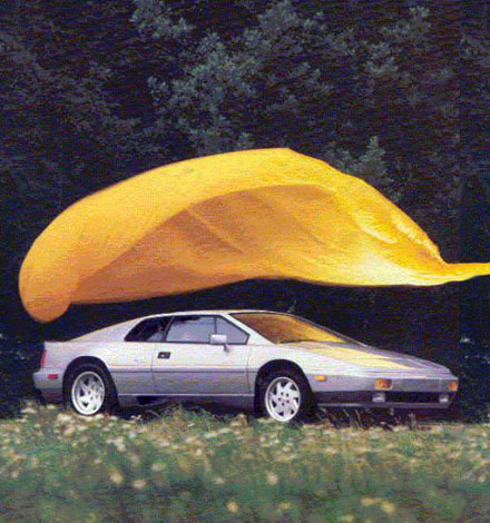 Lotus_Esprit_Turbo_Catalogue_Pic